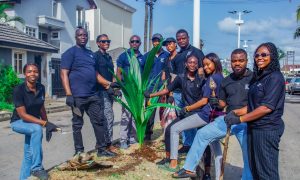 Kenna Partners staff at the tree planting exercise 