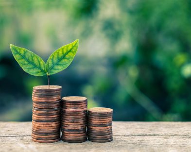 Seedling Plant are Growing on Money Coin Tower with Blurred Bokeh Background - Business and Finance Concept